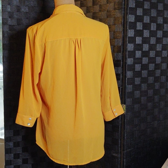 Beautiful Sheer Sequin Hearts Dillard's Blouse - Picture 3 of 6